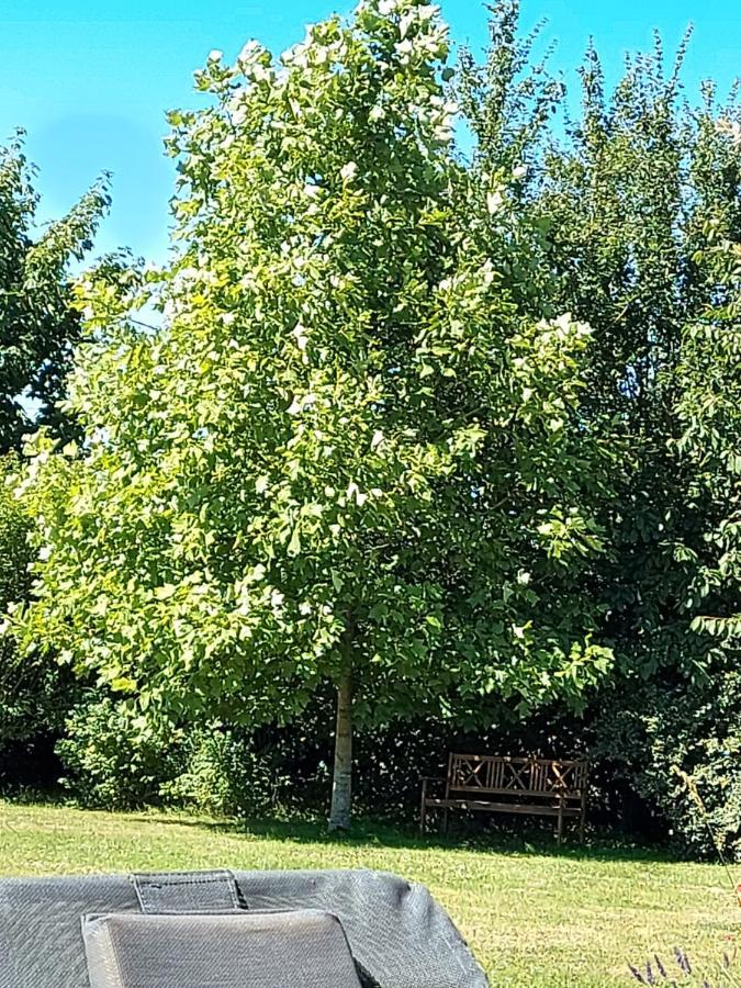 Gite D'Anne Et Ulysse Sept-Freres Kültér fotó